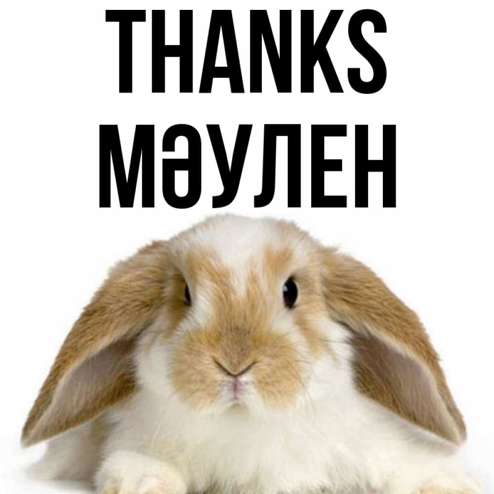 Greetings card с именем, МӘУЛЕН Thanks коричнево белый заяц Greetings with text for free download 