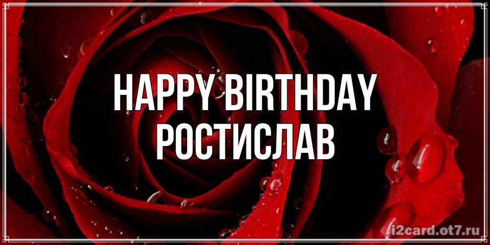 Greetings card с именем, Ростислав Happy Birthday крупная бордовая роза Greetings with text for free download 