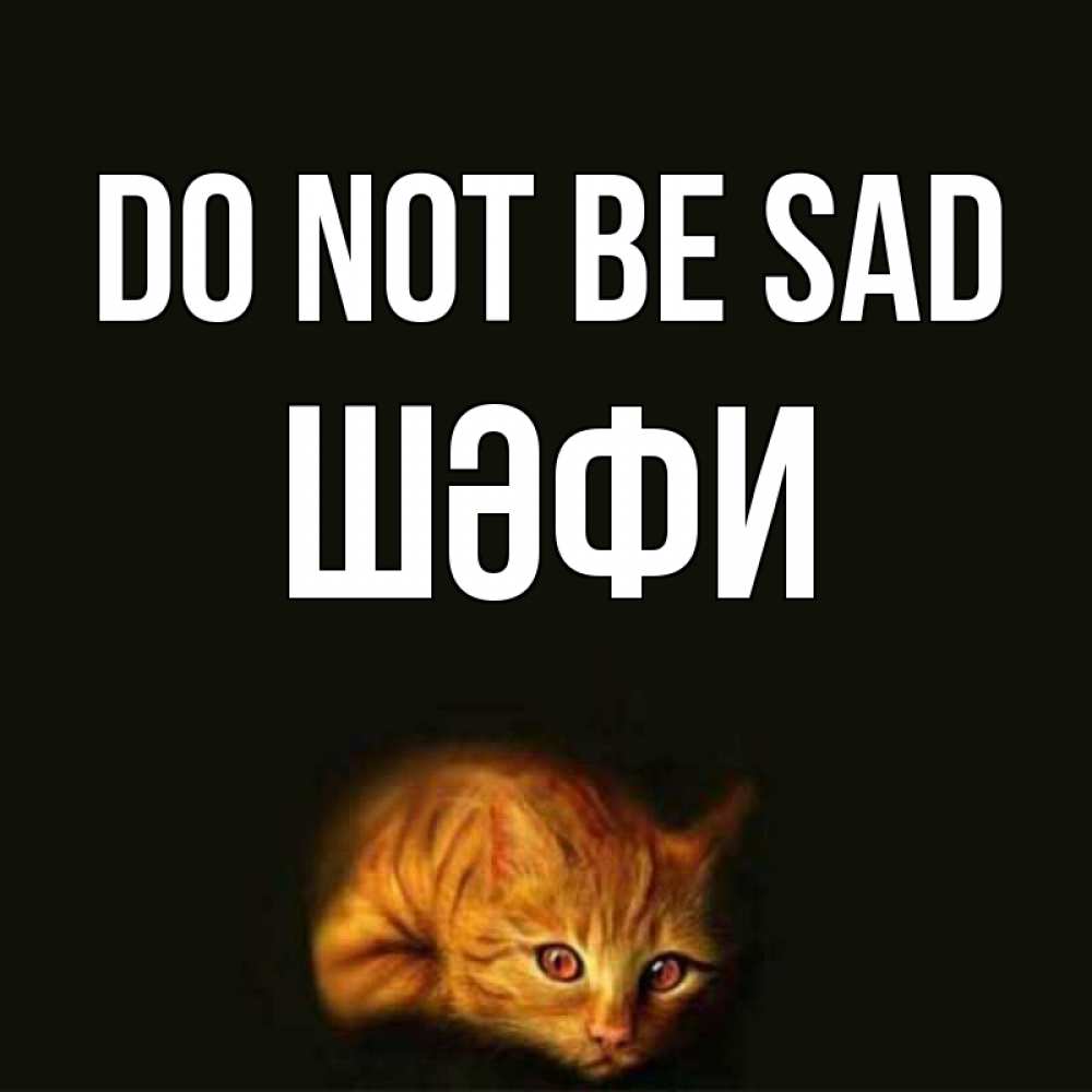 Greetings card с именем, ШӘФИ Do not be sad лежащий кот в темноте Greetings with text for free download 