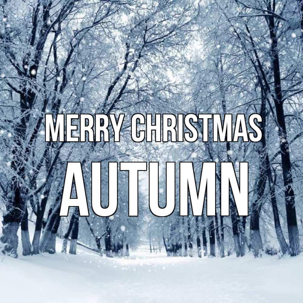 Greetings card с именем, Autumn Merry Christmas снег, лес, парк Greetings with text for free download 