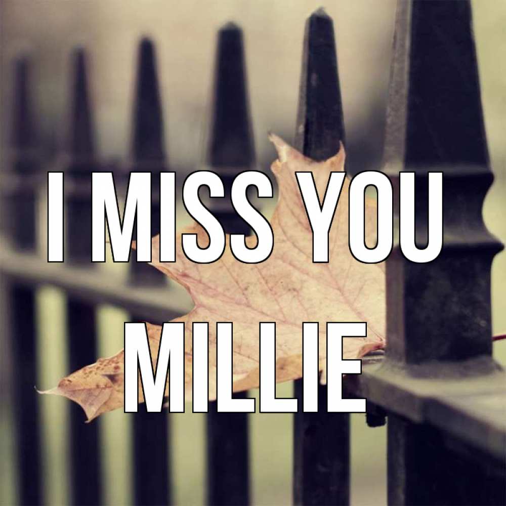 Greetings card с именем, Millie I miss you очень скучно Greetings with text for free download 