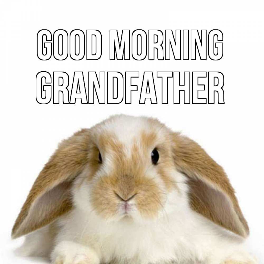 Greetings card с именем, grandfather Good morning прикольные открытки на каждый день Greetings with text for free download 