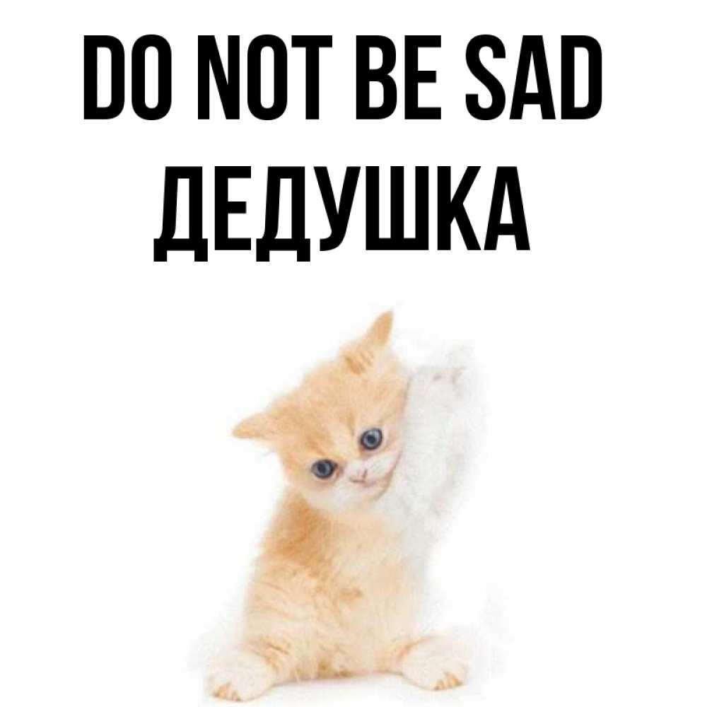 Greetings card с именем, Дедушка Do not be sad просящий кот Greetings with text for free download 