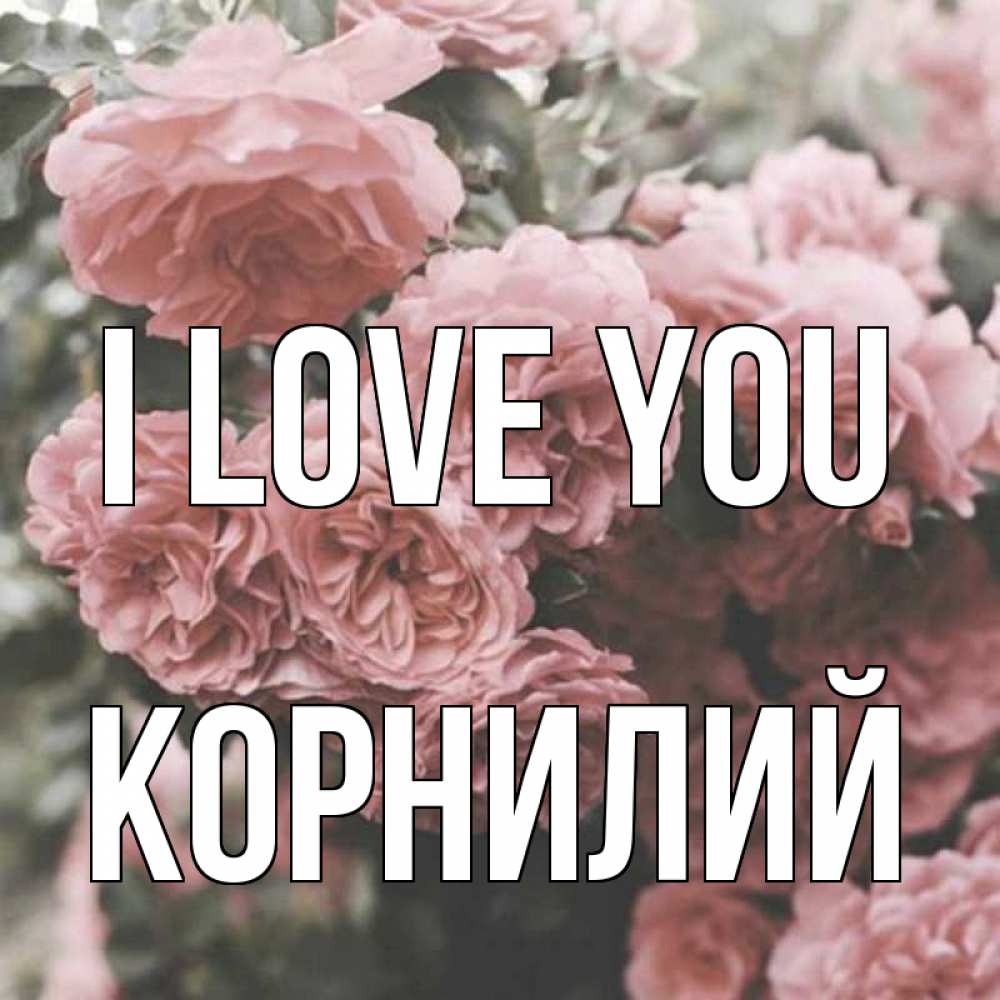 Greetings card с именем, Корнилий I love you розы 3 Greetings with text for free download 