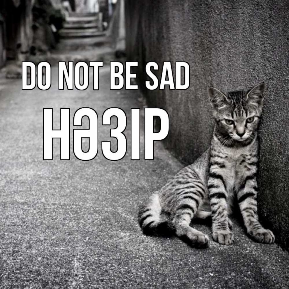 Greetings card с именем, НӘЗІР Do not be sad скучающий котик Greetings with text for free download 