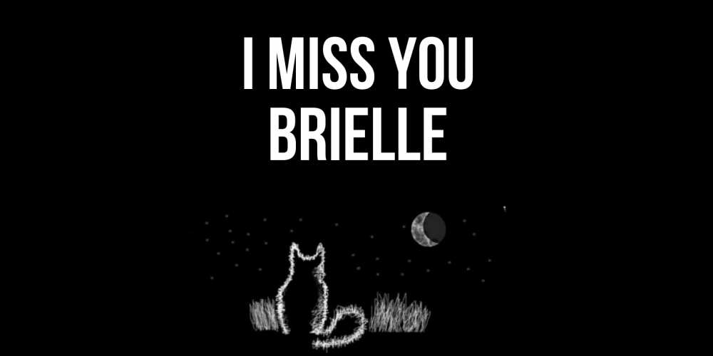 Greetings card с именем, Brielle I miss you кот Greetings with text for free download 