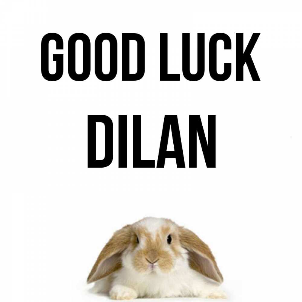 Greetings card с именем, Dilan Good luck открытки с произвольным текстом который можно вставить в открытку и создать ее самостоятельно бесплатно онлайн Greetings with text for free download 