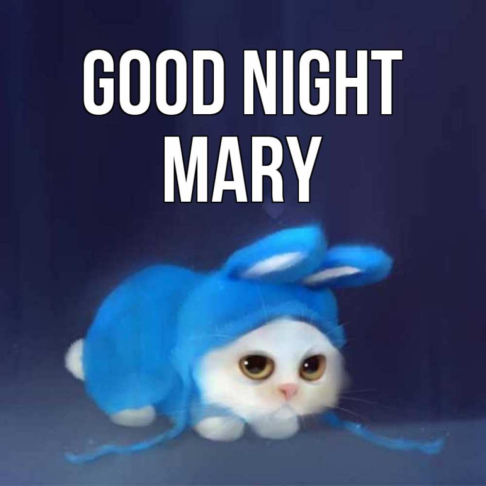 Greetings card с именем, Mary Good night кот в голубом костюме кролика с ушками Greetings with text for free download 