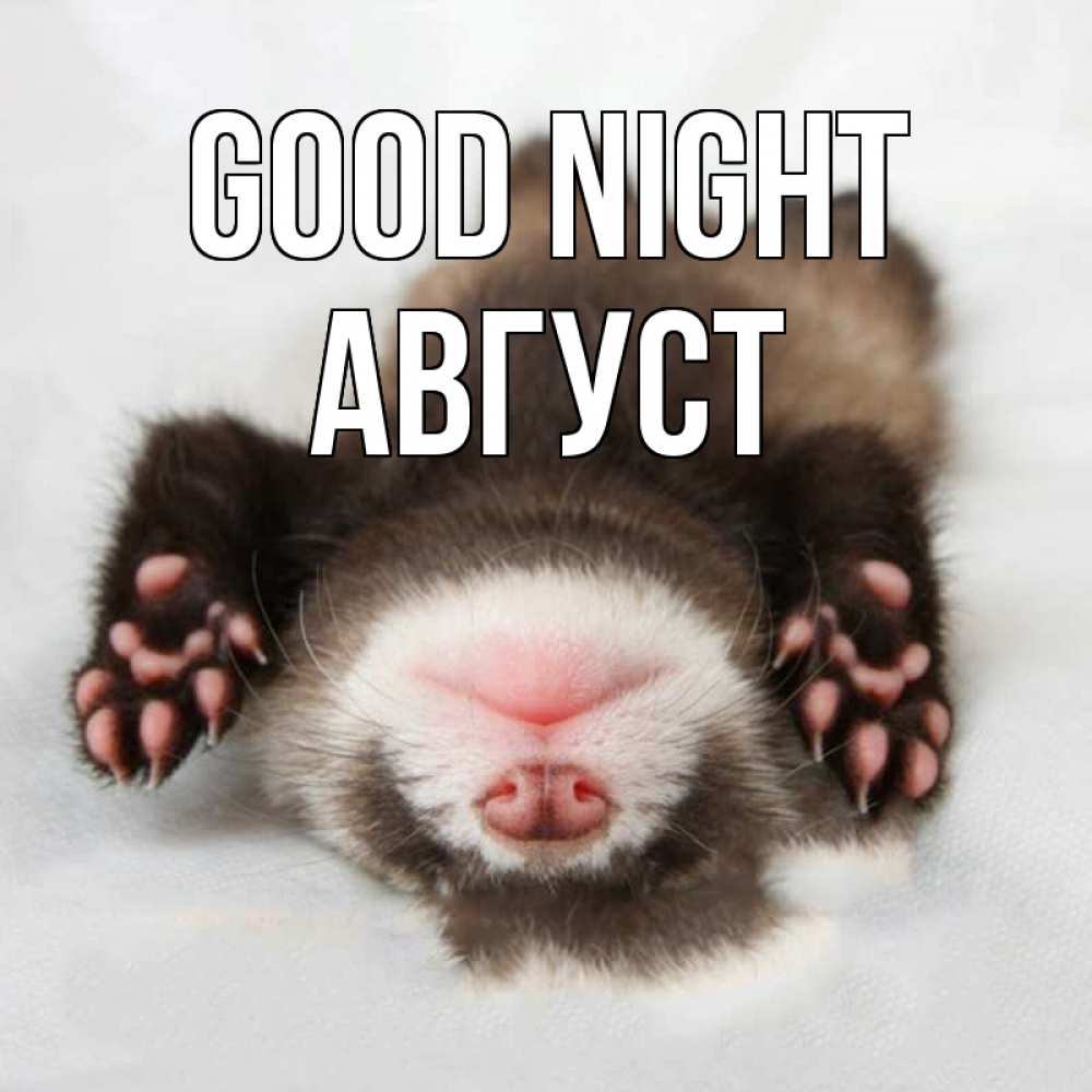 Greetings card с именем, Август Good night зверек Greetings with text for free download 