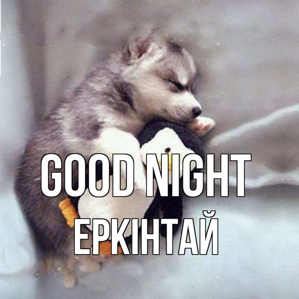 Greetings card с именем, Еркінтай Good night обнимашки щенка и пингвина Greetings with text for free download 