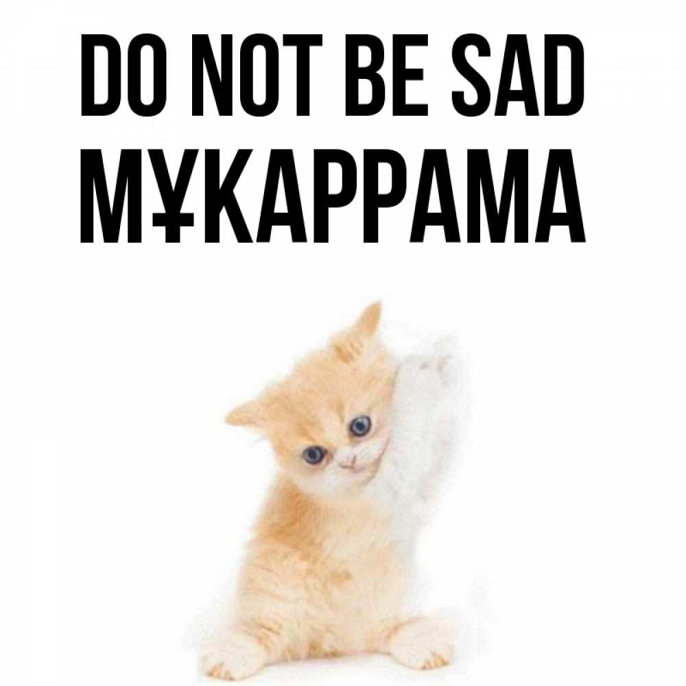 Greetings card с именем, МҰКАРРАМА Do not be sad просящий кот Greetings with text for free download 