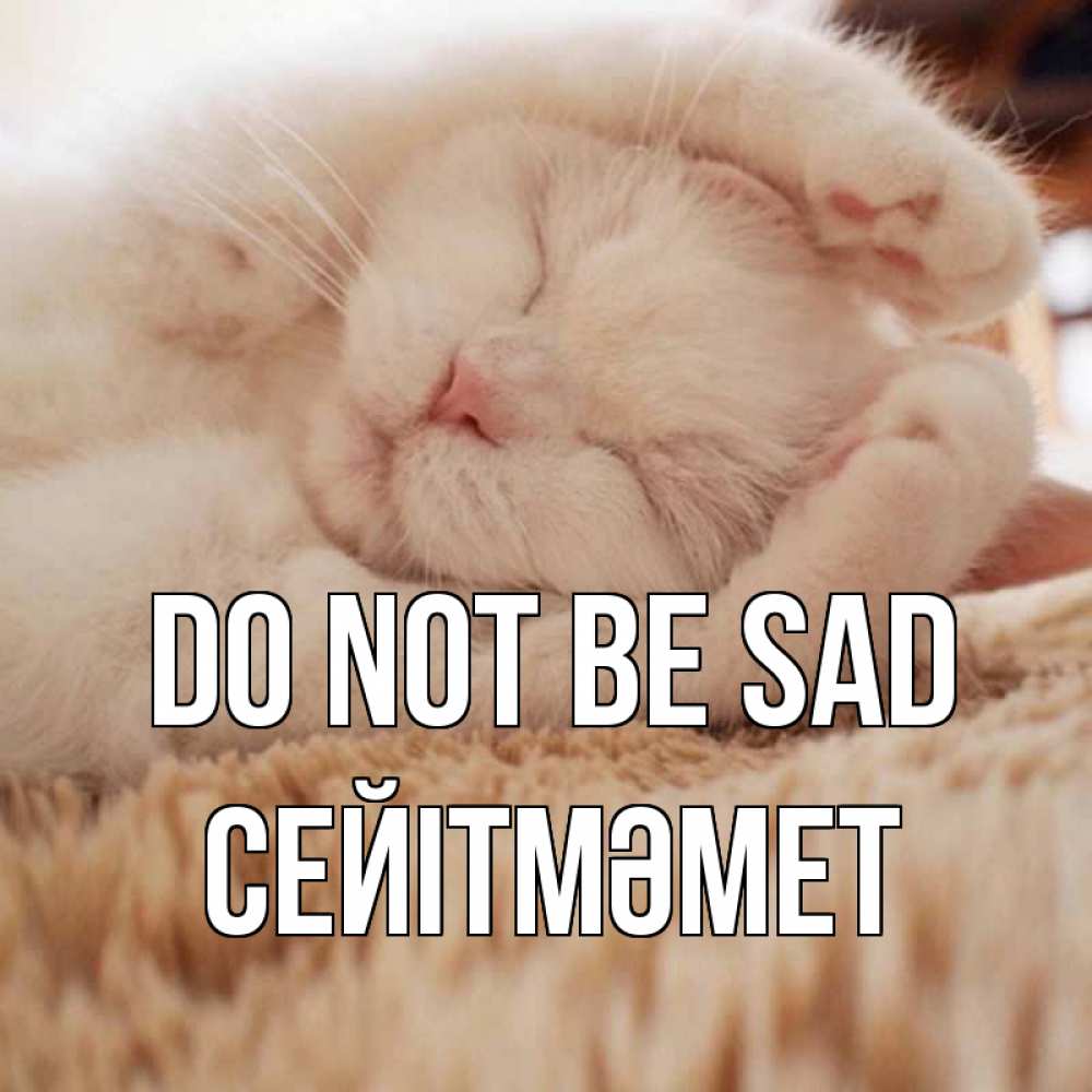 Greetings card с именем, СЕЙІТМӘМЕТ Do not be sad белый кот Greetings with text for free download 