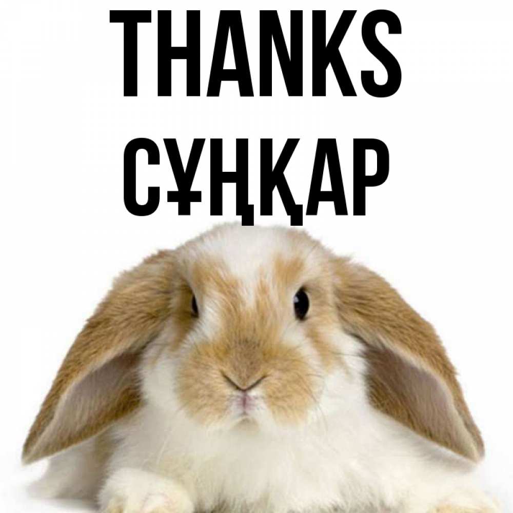 Greetings card с именем, СҰҢҚАР Thanks коричнево белый заяц Greetings with text for free download 