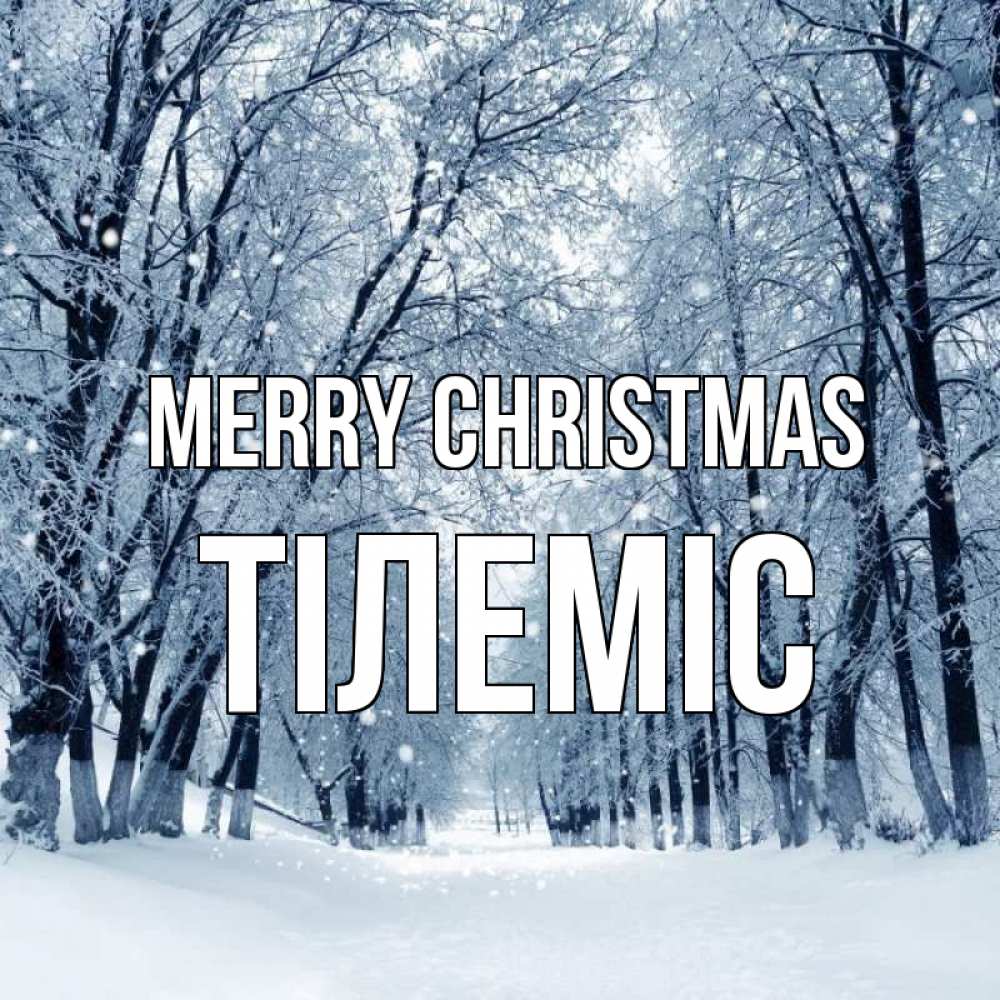 Greetings card с именем, ТІЛЕМІС Merry Christmas снег, лес, парк Greetings with text for free download 