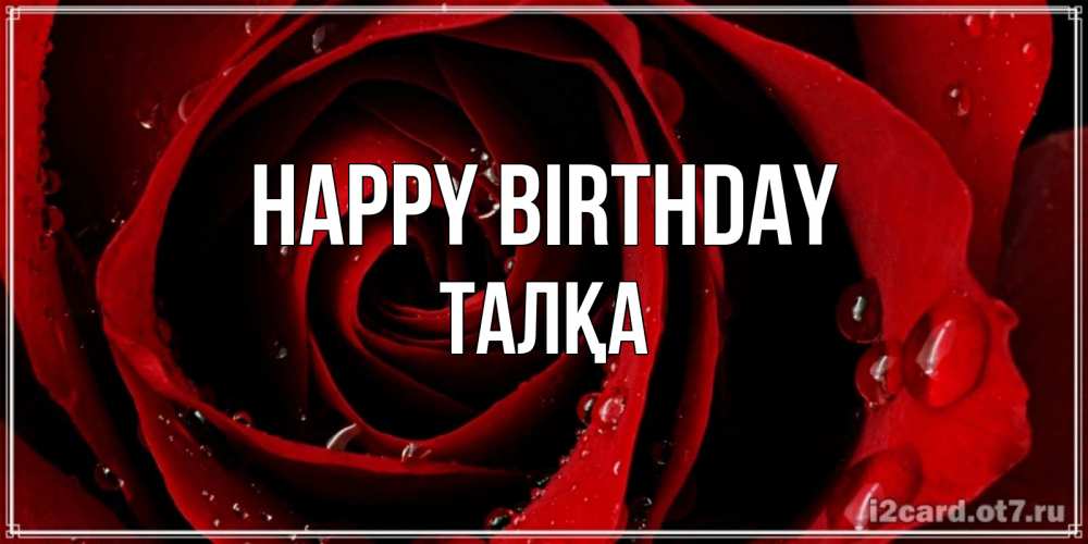 Greetings card с именем, ТАЛҚА Happy Birthday крупная бордовая роза Greetings with text for free download 