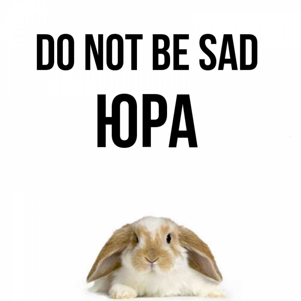 Greetings card с именем, Юра Do not be sad коричнево белый заяц с большими ушками Greetings with text for free download 