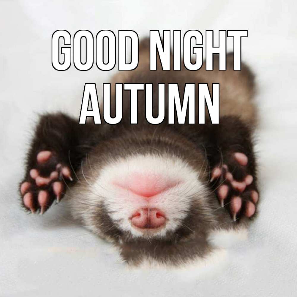 Greetings card с именем, Autumn Good night зверек Greetings with text for free download 