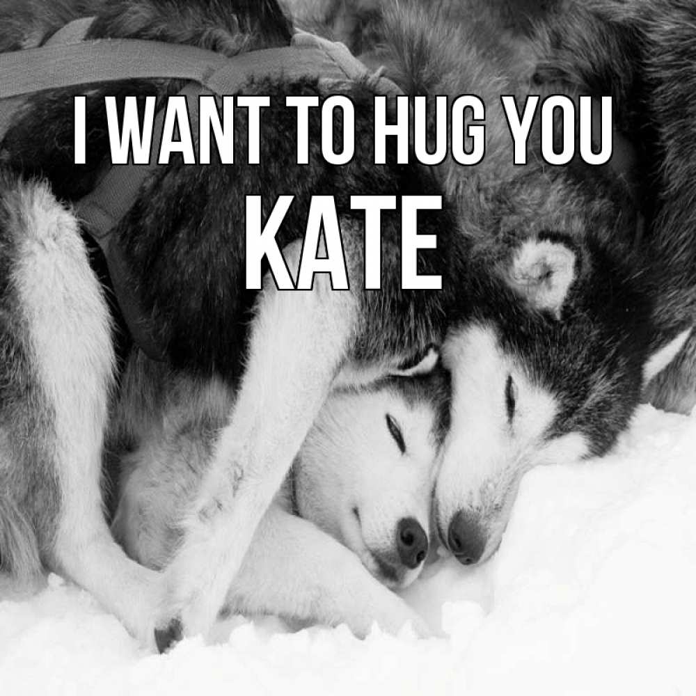 Greetings card с именем, Kate I want to hug you собачки в упряжке Greetings with text for free download 