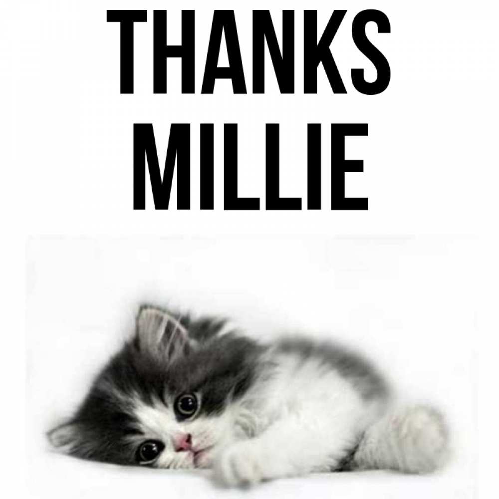 Greetings card с именем, Millie Thanks черный и белый кот Greetings with text for free download 