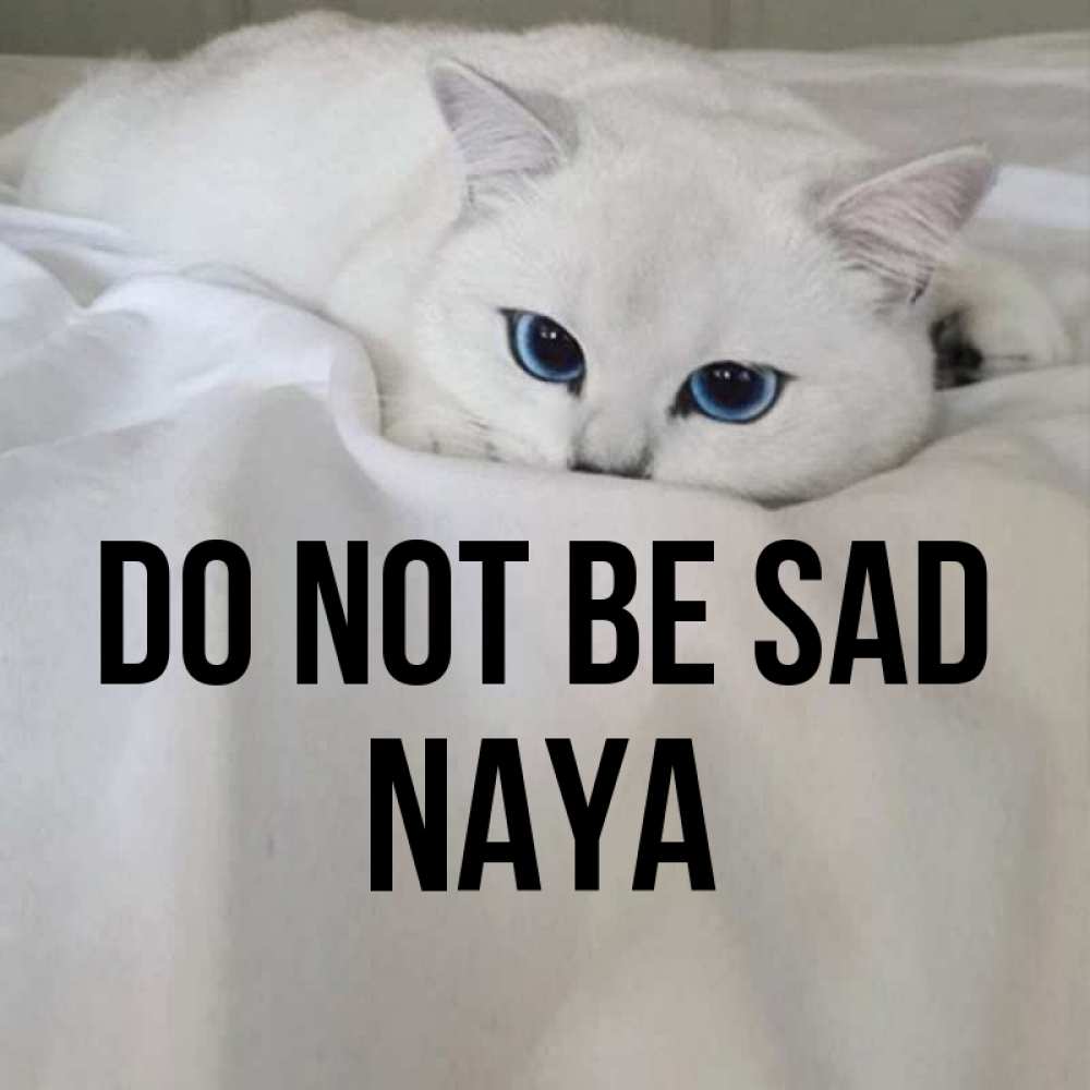 Greetings card с именем, Naya Do not be sad Голубоглазая кошка Greetings with text for free download 