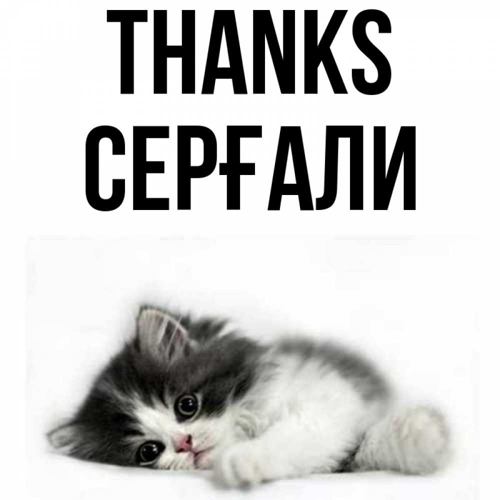 Greetings card с именем, СЕРҒАЛИ Thanks черный и белый кот Greetings with text for free download 