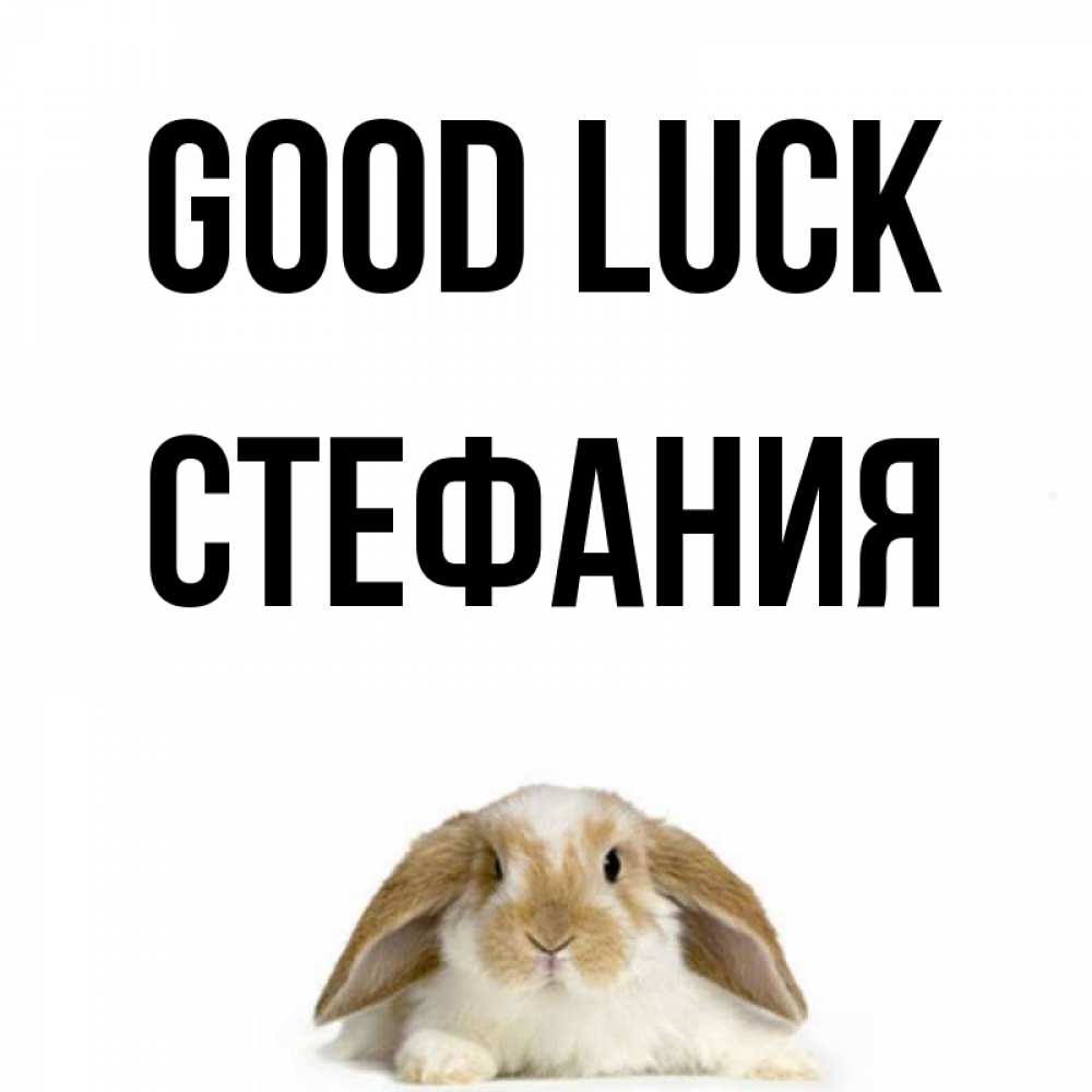 Greetings card с именем, Стефания Good luck открытки с произвольным текстом который можно вставить в открытку и создать ее самостоятельно бесплатно онлайн Greetings with text for free download 