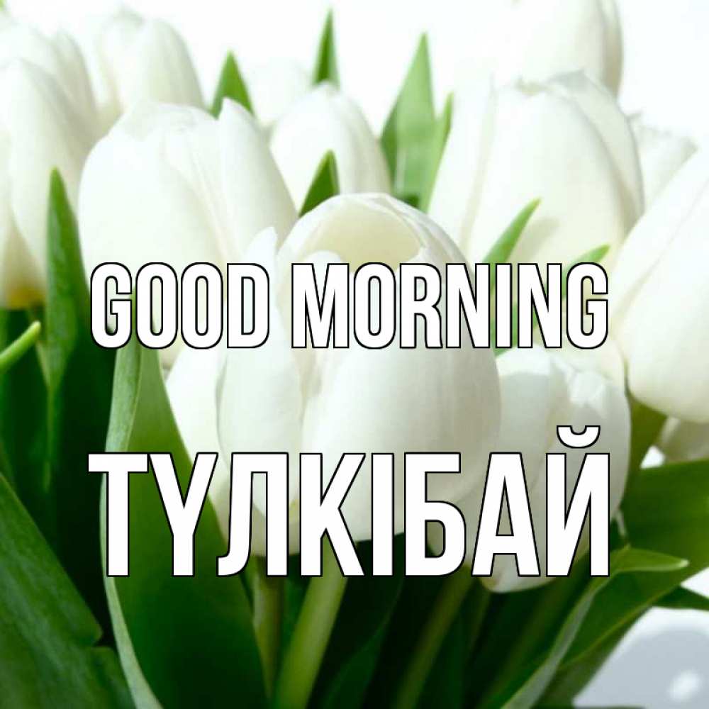 Greetings card с именем, ТҮЛКІБАЙ Good morning открытки на каждый день по именам Greetings with text for free download 