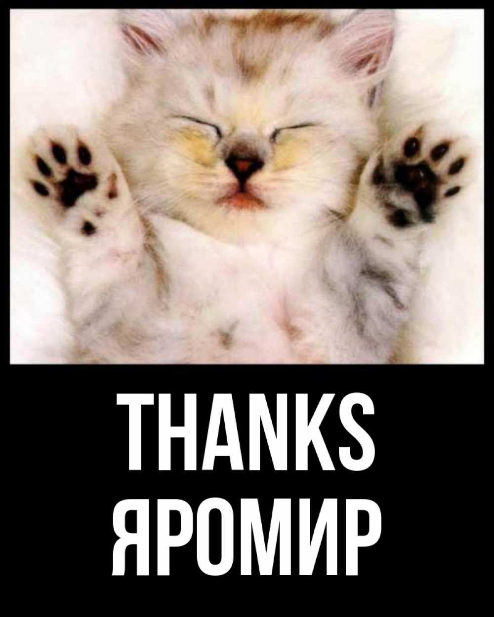 Greetings card с именем, Яромир Thanks маленький котенок Greetings with text for free download 