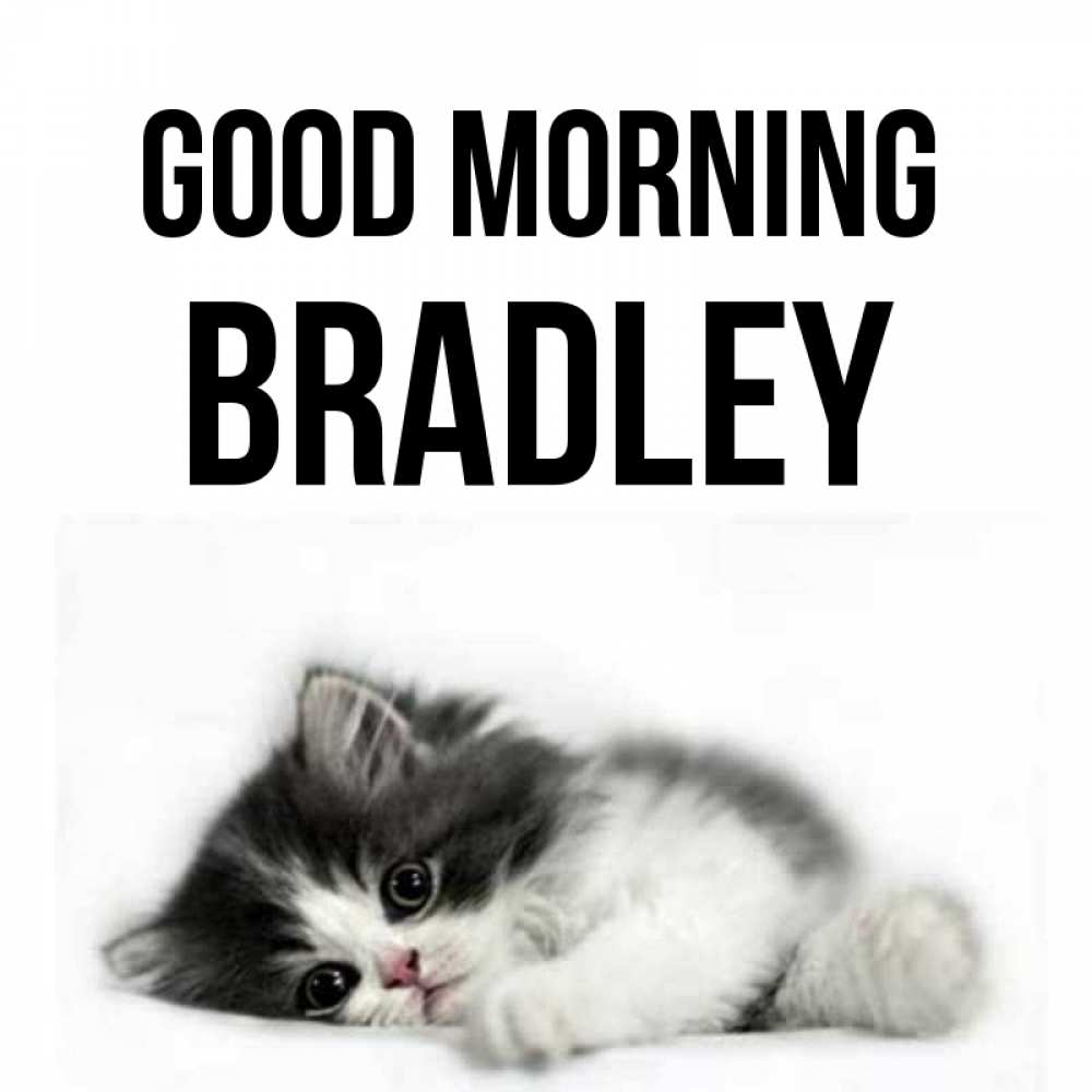 Greetings card с именем, Bradley Good morning кот лапки Greetings with text for free download 