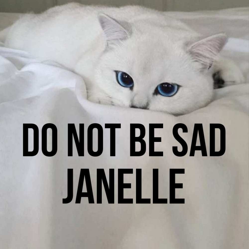 Greetings card с именем, Janelle Do not be sad Голубоглазая кошка Greetings with text for free download 