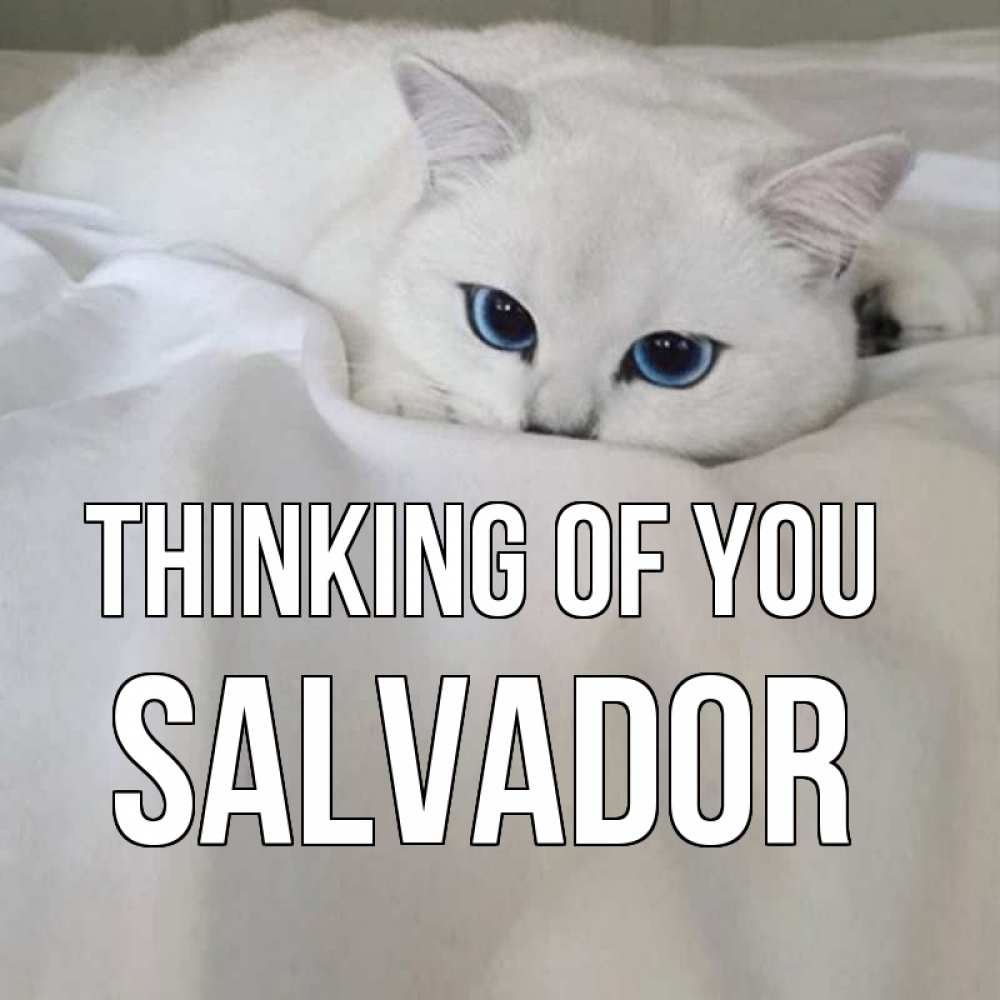 Greetings card с именем, Salvador Thinking of you я очень по тебе скучаю и тоскую Greetings with text for free download 