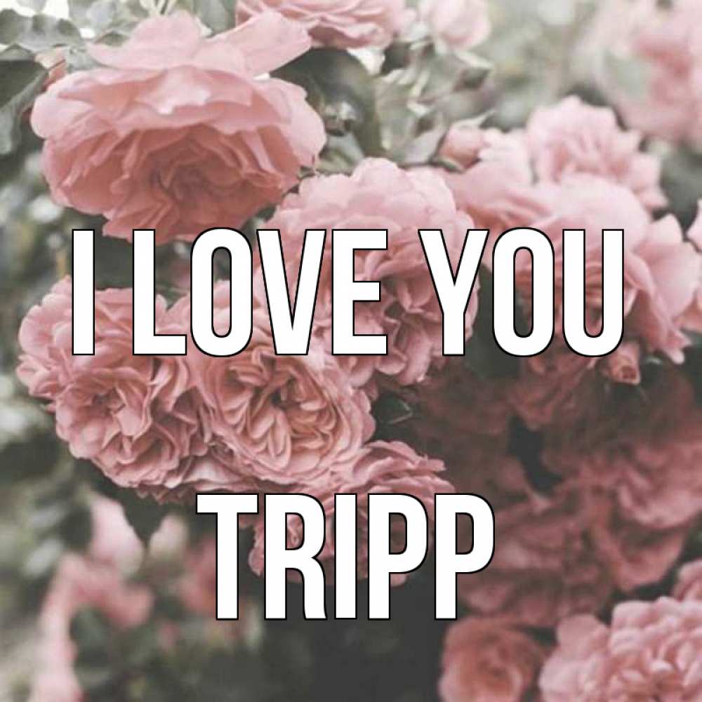 Greetings card с именем, Tripp I love you розы 3 Greetings with text for free download 