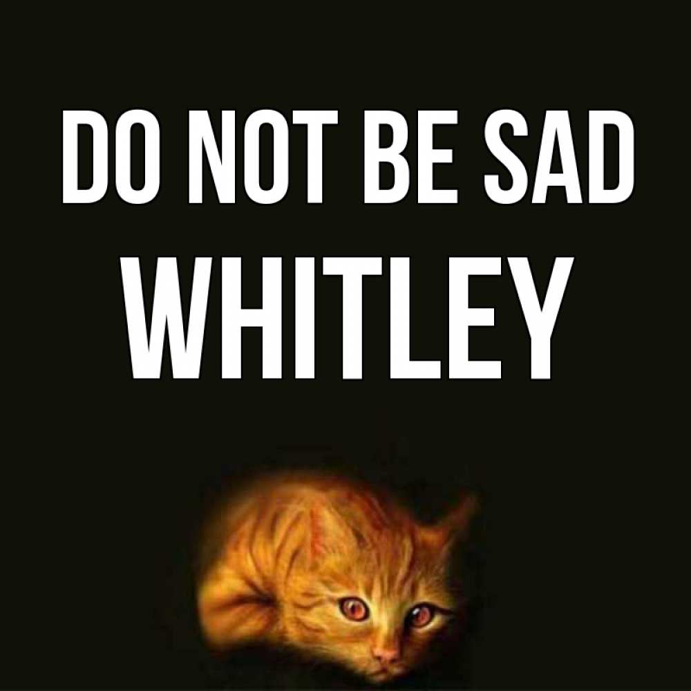 Greetings card с именем, Whitley Do not be sad лежащий кот в темноте Greetings with text for free download 