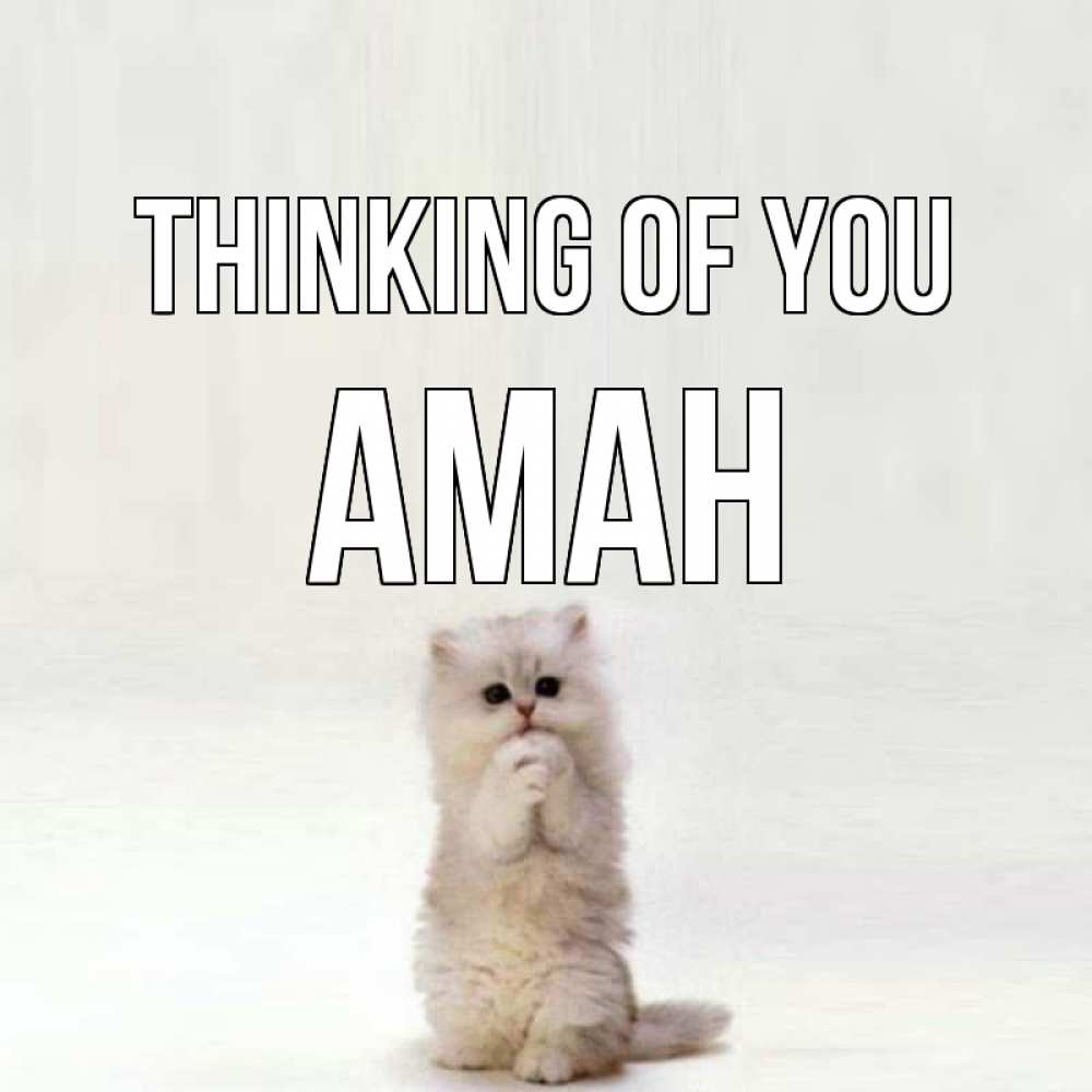 Greetings card с именем, Аман Thinking of you кот стоит на задних лапах Greetings with text for free download 