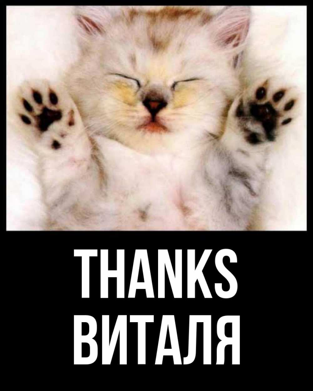 Greetings card с именем, Виталя Thanks маленький котенок Greetings with text for free download 