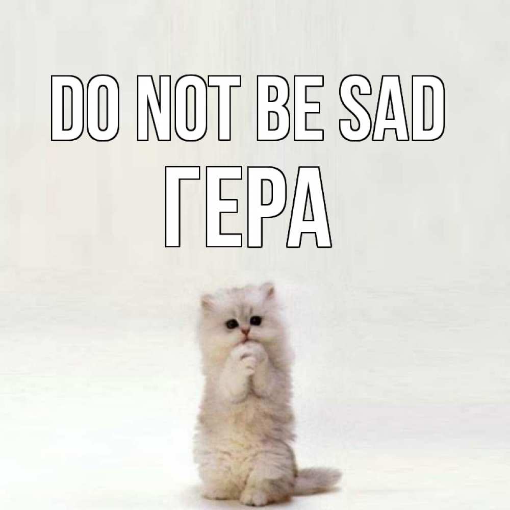 Greetings card с именем, Гера Do not be sad грустный кот Greetings with text for free download 
