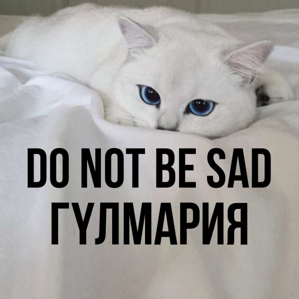 Greetings card с именем, ГҮЛМАРИЯ Do not be sad Голубоглазая кошка Greetings with text for free download 