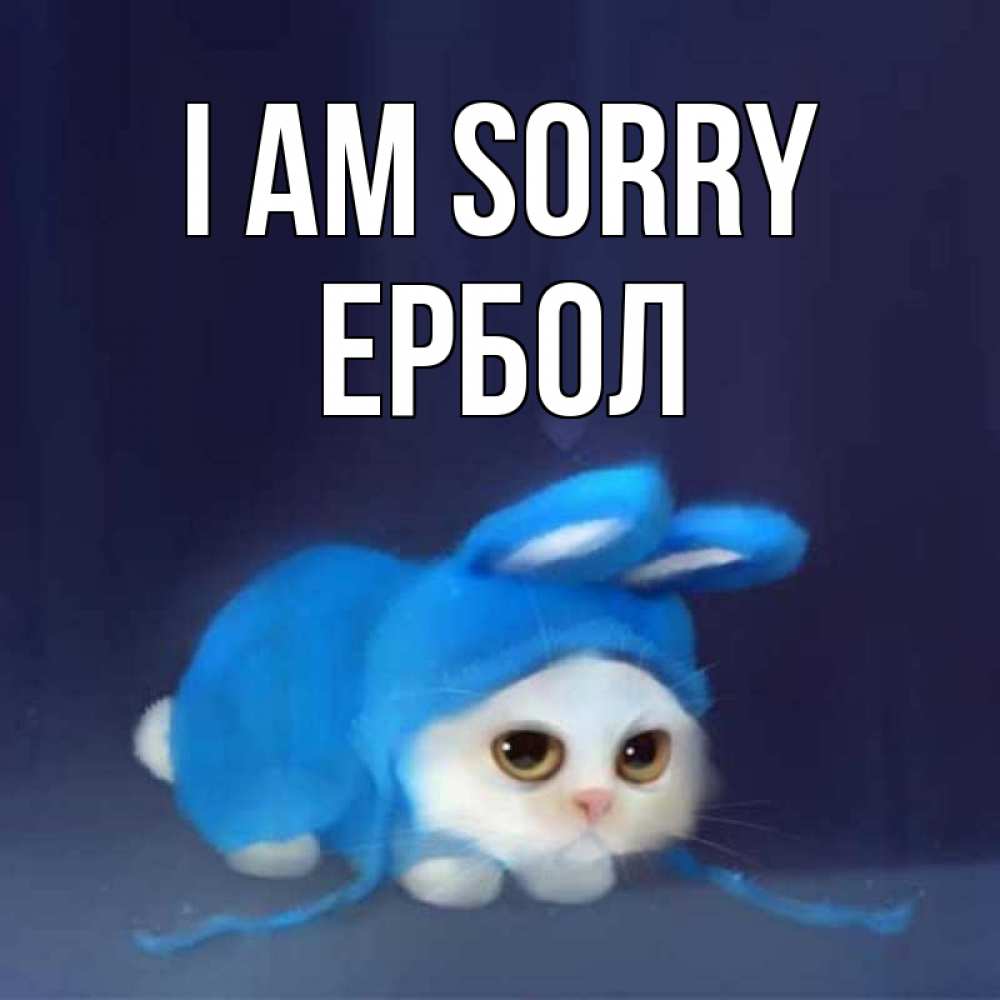 Greetings card с именем, Ербол I am sorry невинный котозай просит прощения Greetings with text for free download 