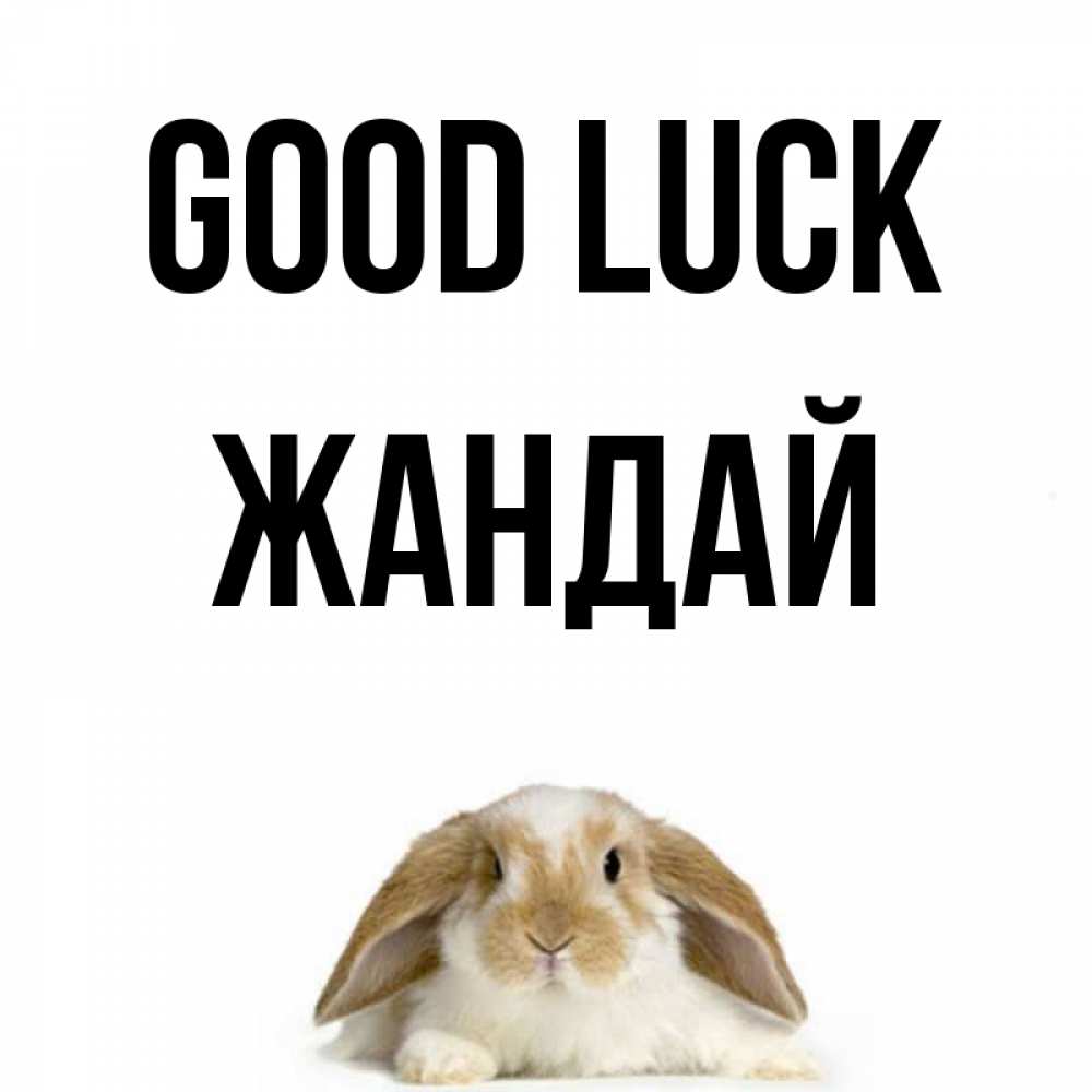 Greetings card с именем, Жандай Good luck открытки с произвольным текстом который можно вставить в открытку и создать ее самостоятельно бесплатно онлайн Greetings with text for free download 