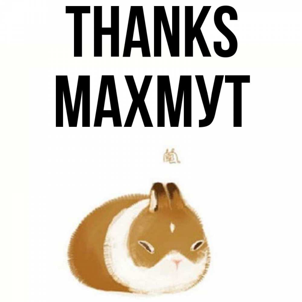 Greetings card с именем, МАХМУТ Thanks коричнево белый домашний питомец Greetings with text for free download 