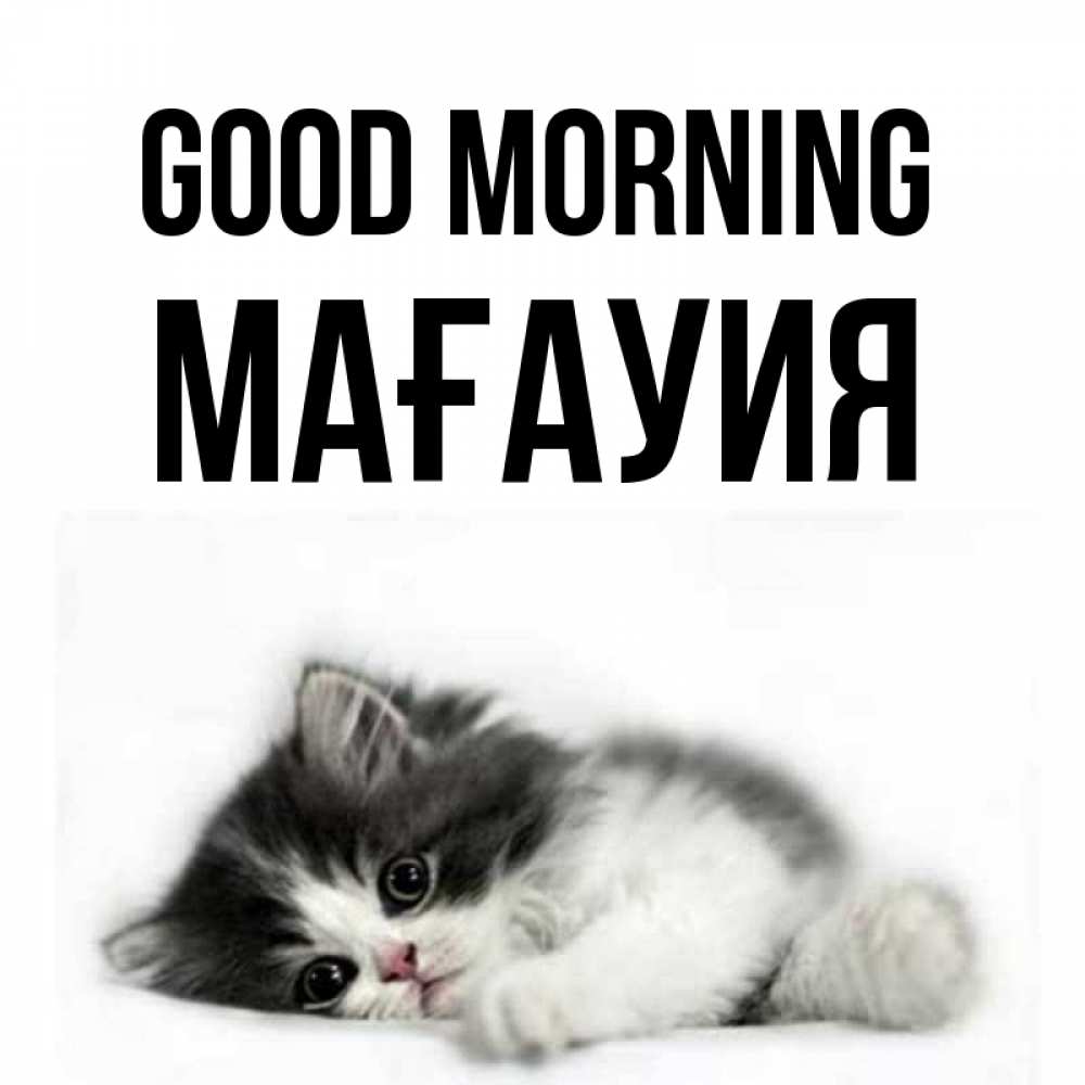 Greetings card с именем, МАҒАУИЯ Good morning кот лапки Greetings with text for free download 
