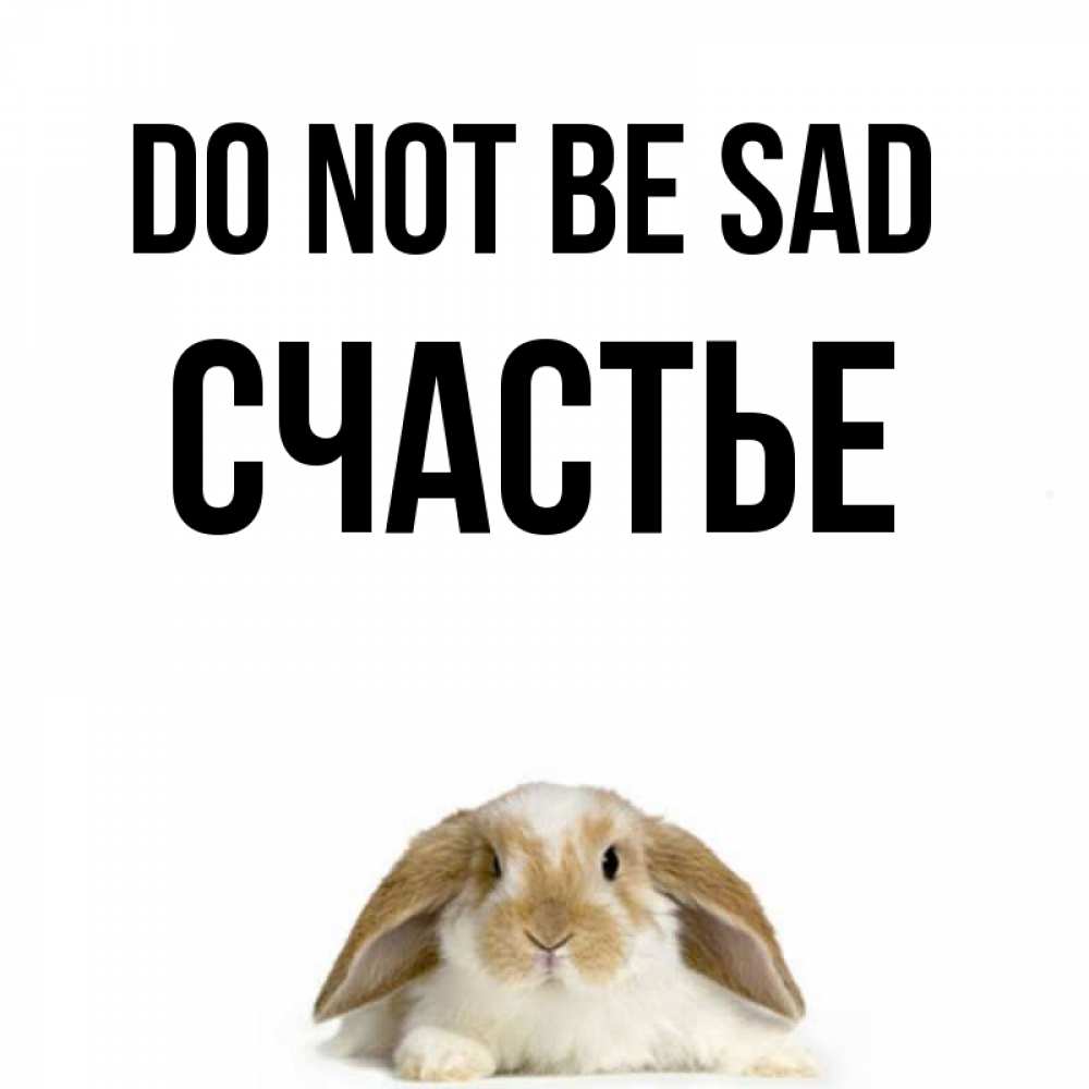 Greetings card с именем, Счастье Do not be sad коричнево белый заяц с большими ушками Greetings with text for free download 