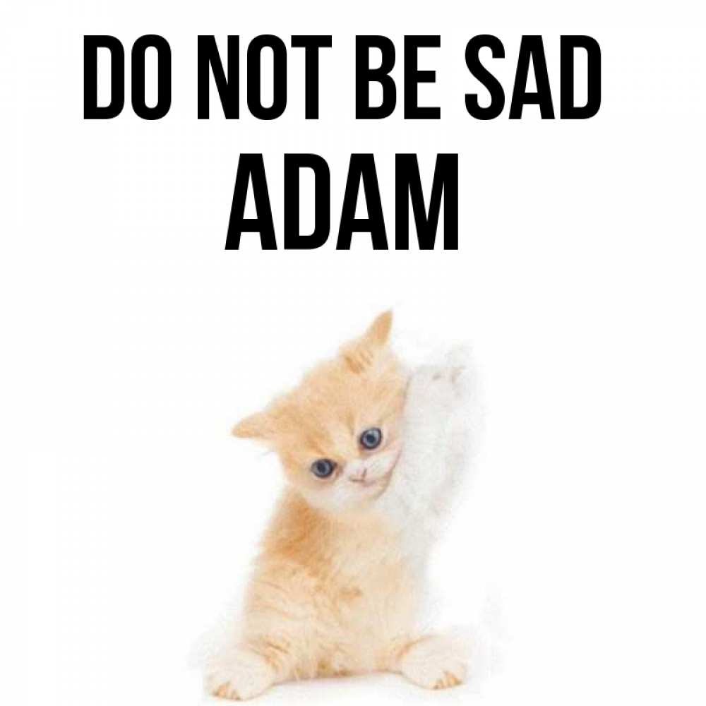 Greetings card с именем, Adam Do not be sad просящий кот Greetings with text for free download 