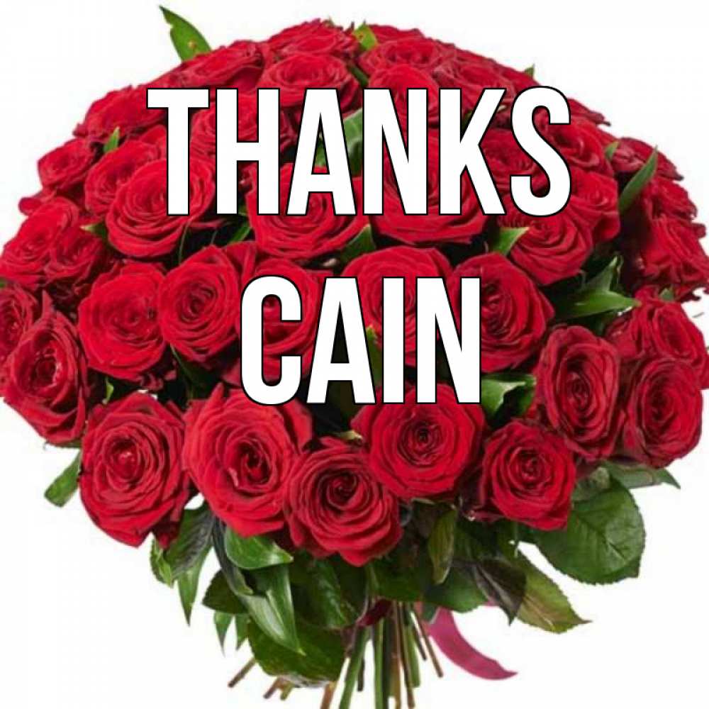 Greetings card с именем, Cain Thanks букет красных роз Greetings with text for free download 