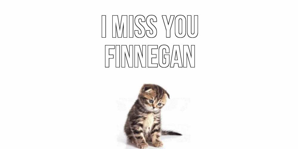 Greetings card с именем, Finnegan I miss you кот Greetings with text for free download 