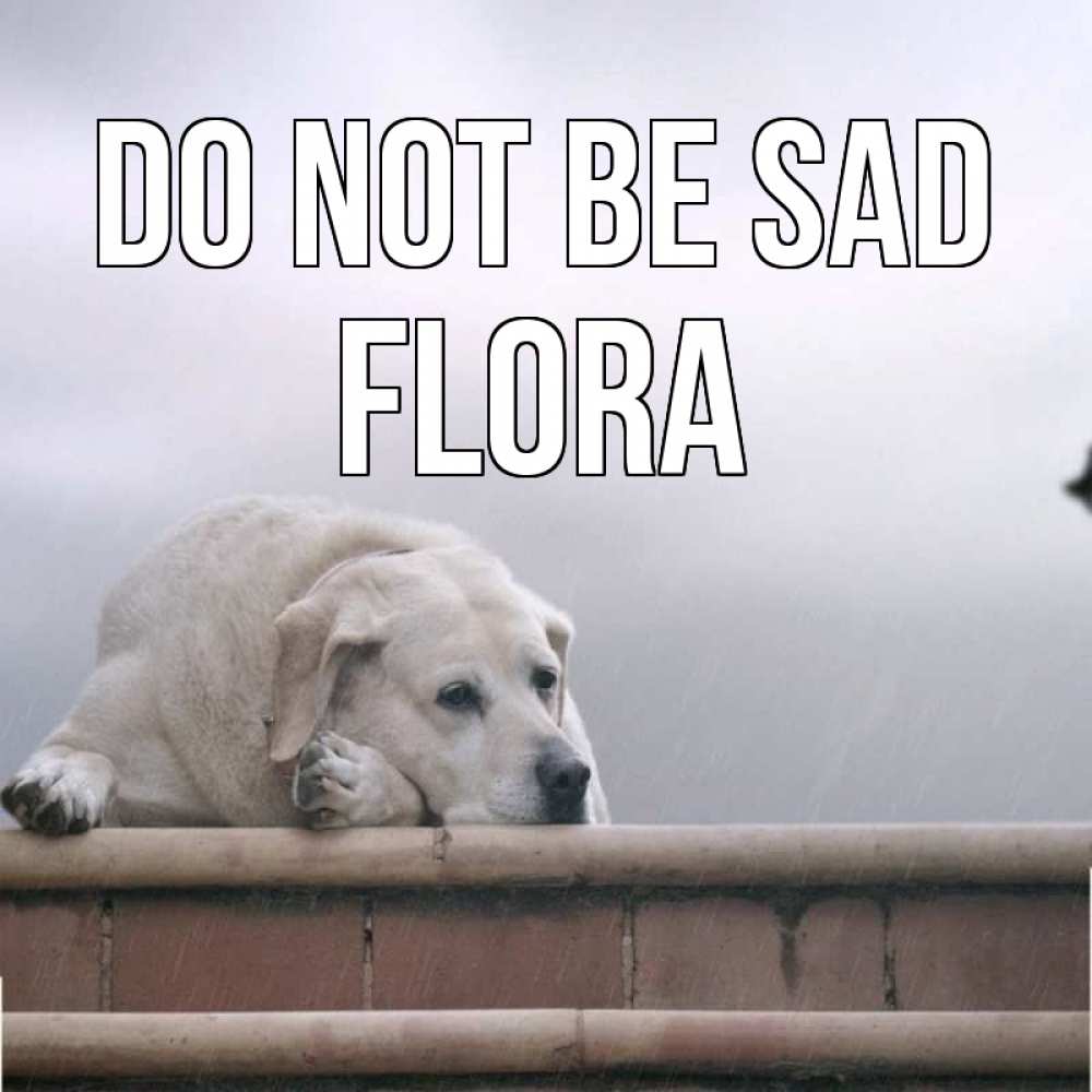 Greetings card с именем, Flora Do not be sad белый пес 1 Greetings with text for free download 