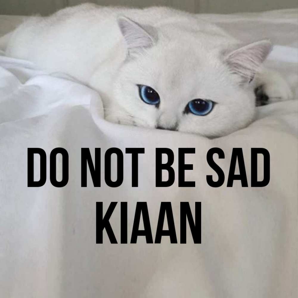 Greetings card с именем, Kiaan Do not be sad Голубоглазая кошка Greetings with text for free download 