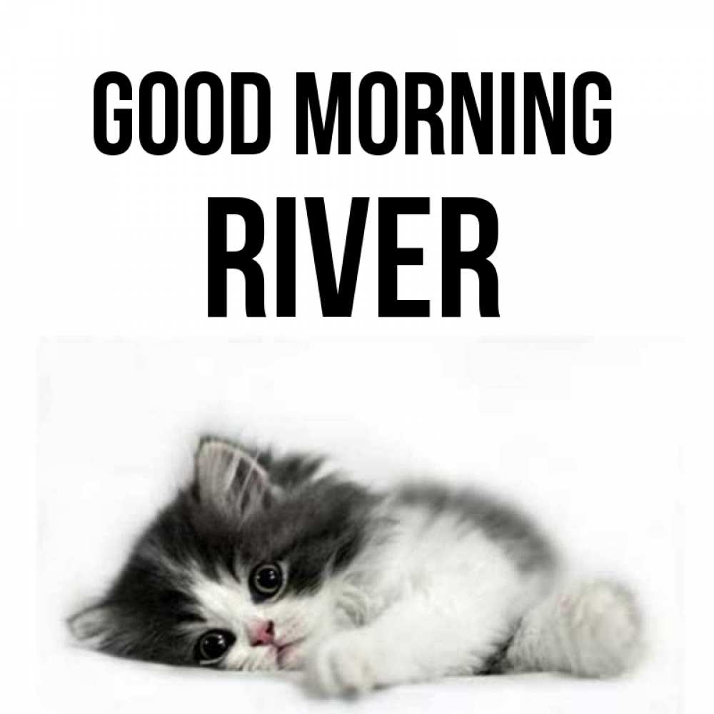 Greetings card с именем, River Good morning кот лапки Greetings with text for free download 
