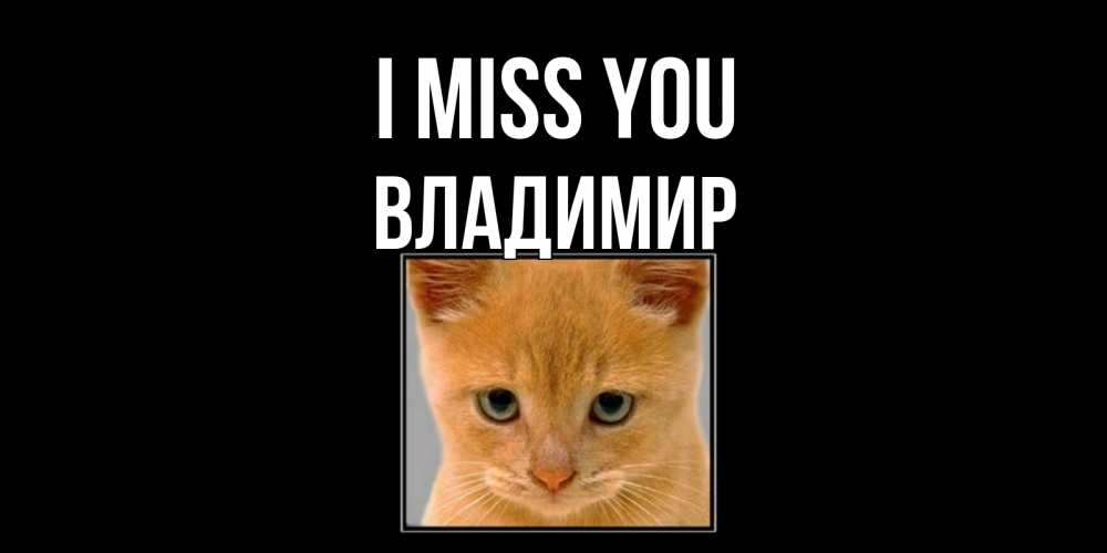 Greetings card с именем, Владимир I miss you открытки рыжий котенок скучает по тебе Greetings with text for free download 