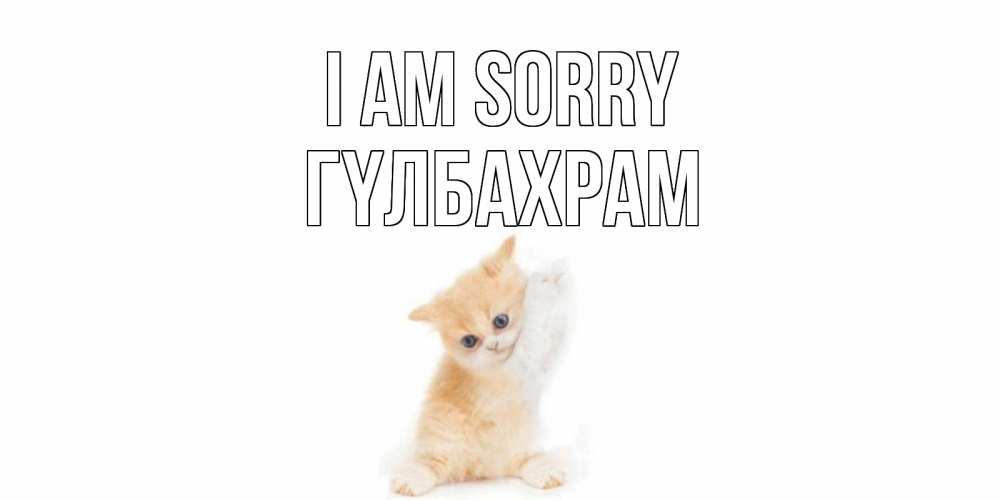 Greetings card с именем, ГҮЛБАХРАМ I am sorry кот Greetings with text for free download 